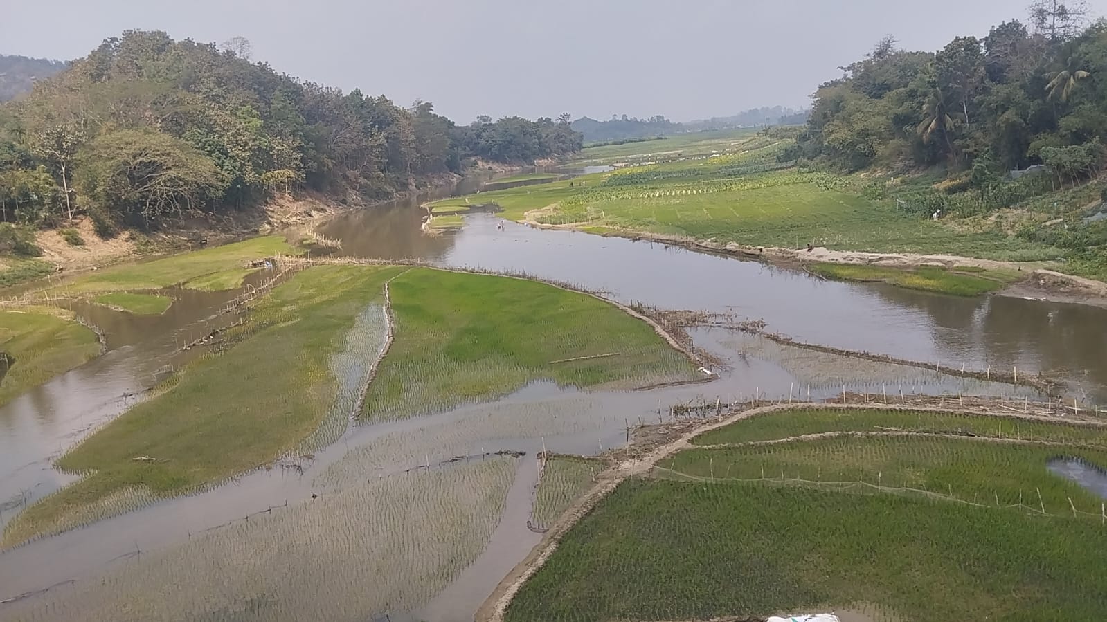 সরই লেমুপালংপাড়ার কৃষকরা সরকারি বরাদ্দের সার পাচ্ছে না