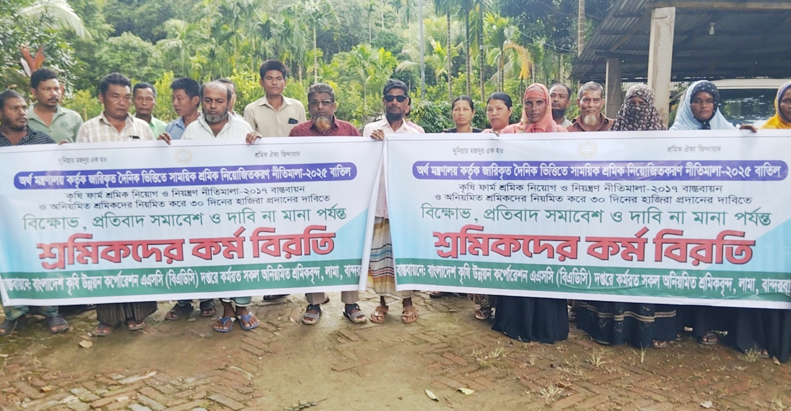 লামায় ৮ দফা দাবি নিয়ে বিএডিসি শ্রমিকদের মানববন্ধন, কর্ম বিরতি চলছে